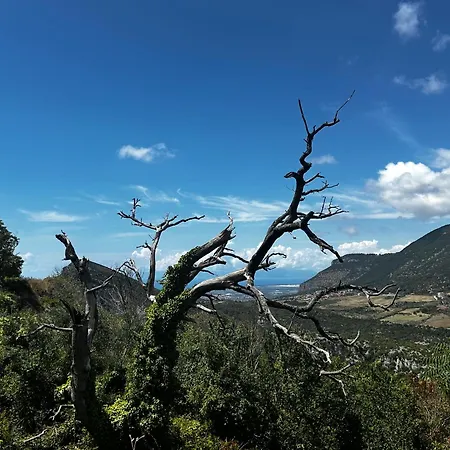 Antica Dimora 3* Trentinara